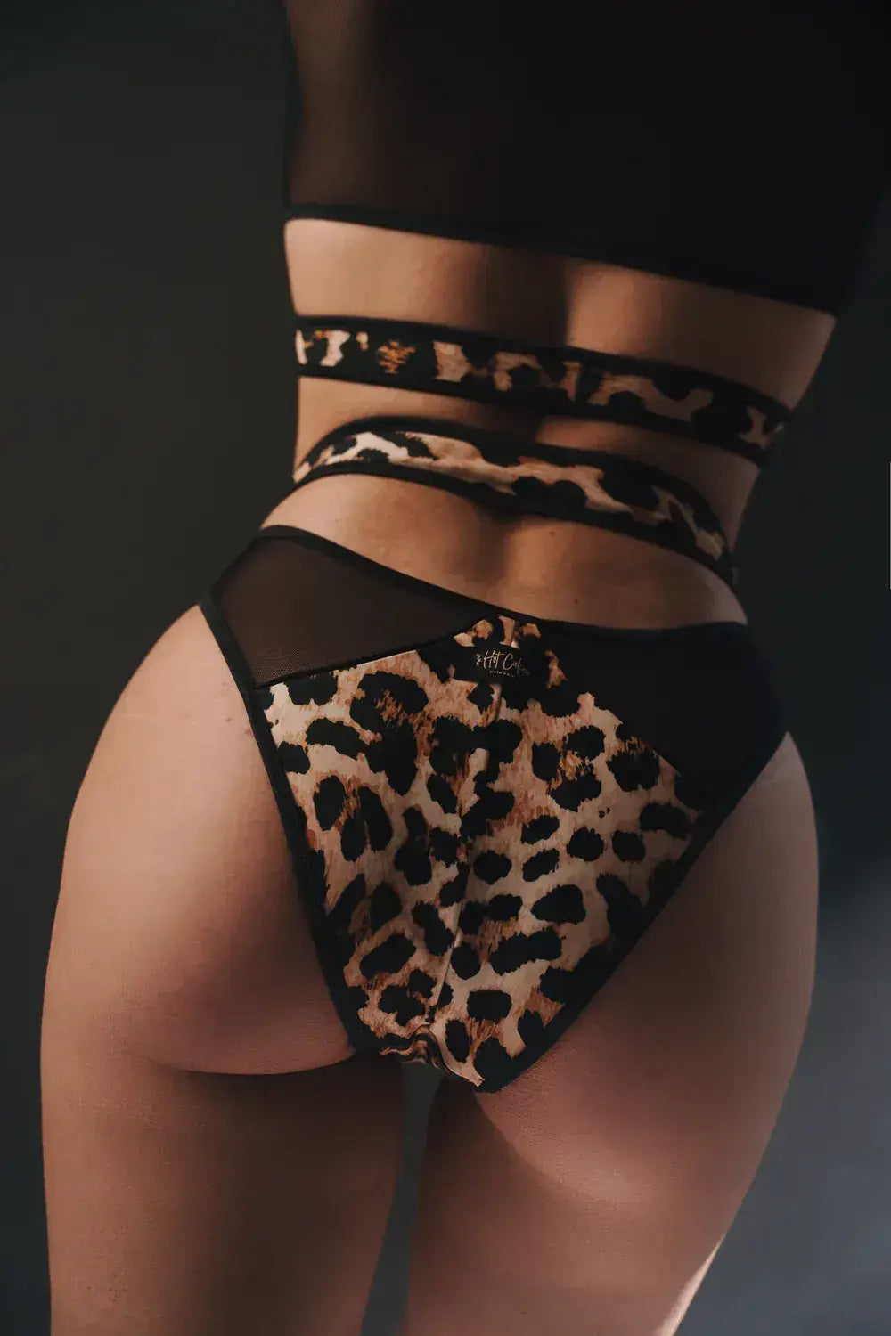 The Pole Junkie Horoscope: Leo Season